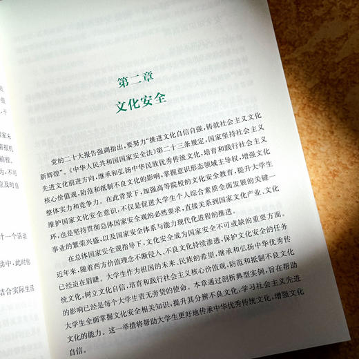 新时代大学生安全教育 公共安全 突发公共事件应急处理 大学教材 商品图10