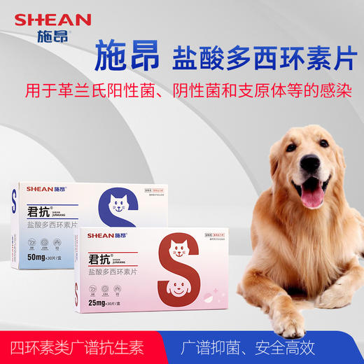 施昂-君抗-盐酸多，西环素片 商品图0