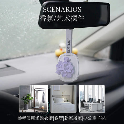 栖溪立体石膏香挂 家用室内卧室衣柜 持久淡香 商品图3