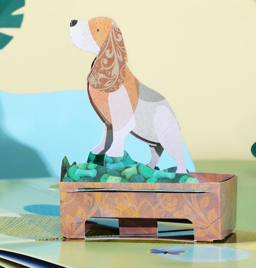 乐乐趣-DK宝宝捉迷藏认知立体书 商品图2