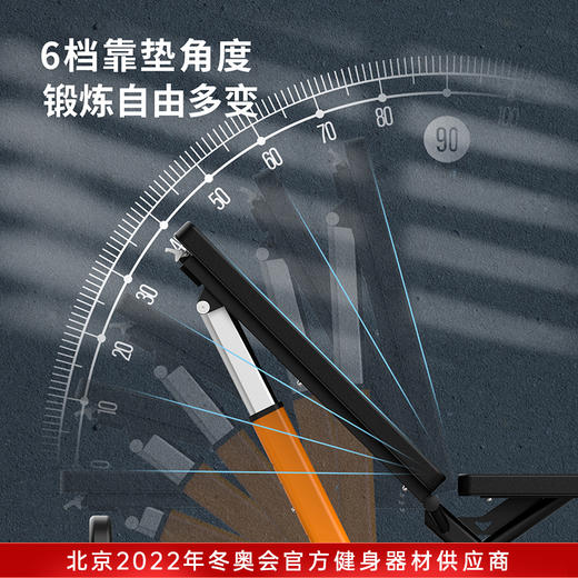 SHUA舒华哑铃凳室内男士可调节哑铃训练板多功能商用健身器材G599 商品图1