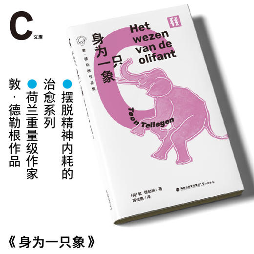 轻读第六季 C文库 敦·德勒根作品集《刺猬的愿望》《蟋蟀的阴郁》《身为一只象》《蚂蚁离开的那一天》《蚱蜢的幸福杂货店》40年文学创作精华 商品图3