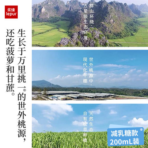 乐纯 万里挑一水牛奶4.0g（减乳糖）200ml*12 多规格 商品图5