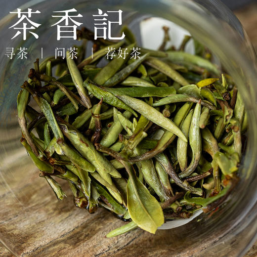 茶香记 政和五星白牡丹025白茶核心茶区非遗传承人出品毫香奶韵甜润干净 商品图4