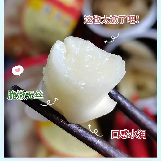 炎炎夏日解腻神器【脆吉吉】手工仔仔姜 现做现发 脆嫩酸甜 只取芽芽最尖尖 商品图3