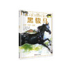 DK彩绘经典名著 黑骏马 商品缩略图0