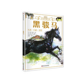 DK彩绘经典名著 黑骏马