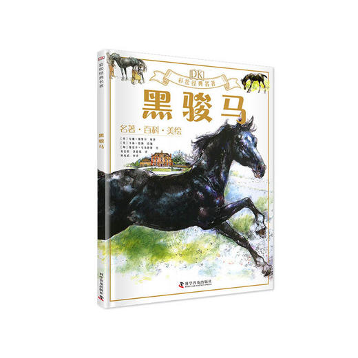 DK彩绘经典名著 黑骏马 商品图0