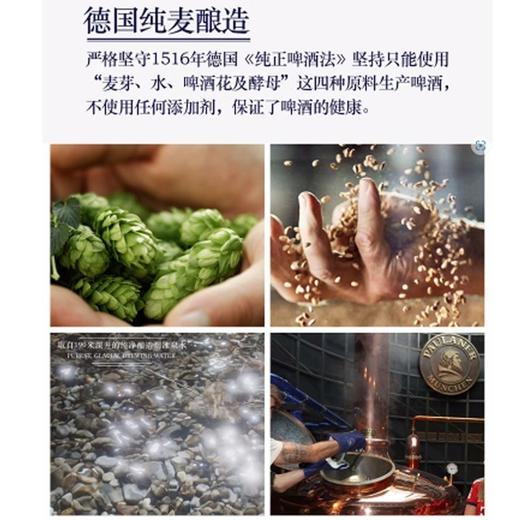 PAULANER 12.3°P德国保拉纳黑小麦啤酒 500ml/瓶 商品图2