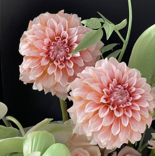 《芳华粉黛》粉绿色奶油桃子花束 商品图4