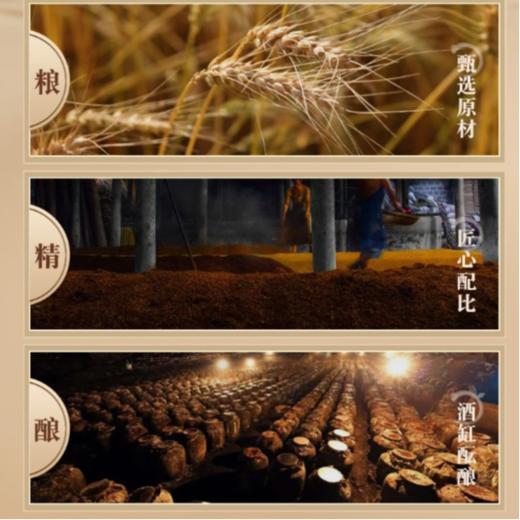 诸葛酿 52度浓香型白酒 450ml/瓶 商品图3