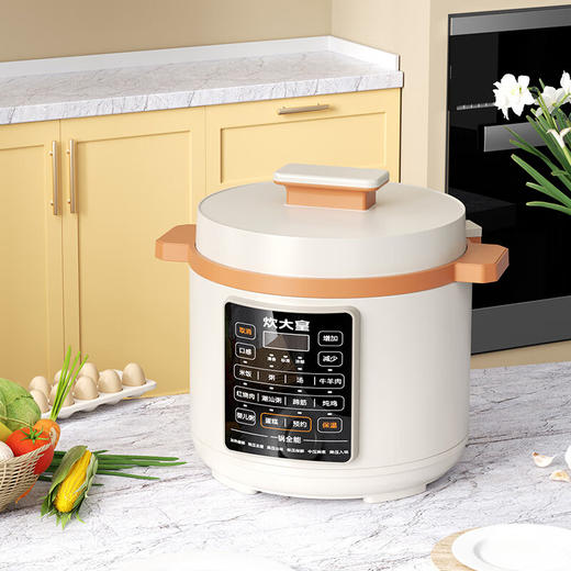 炊大皇电压力锅 CDH-YL1051可预约可自动排压 商品图4