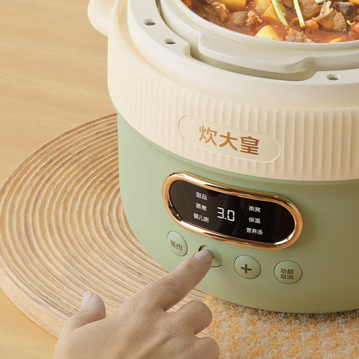 炊大皇多功能电炖锅CDH-DG0210 商品图3