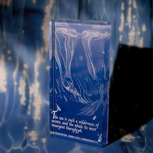 后浪自研文创 白鲸系列决策币 亚克力摆件任选 金属徽章文创礼物 商品图6