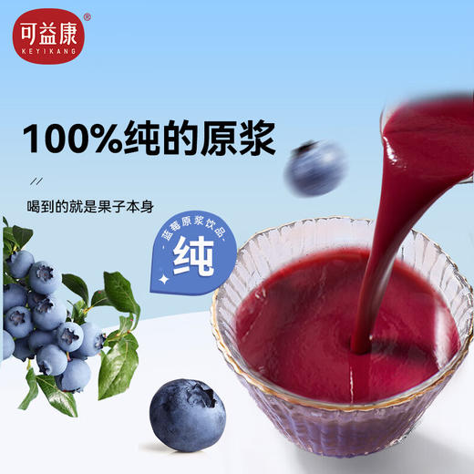 可益康蓝莓原浆饮品300ml 商品图0