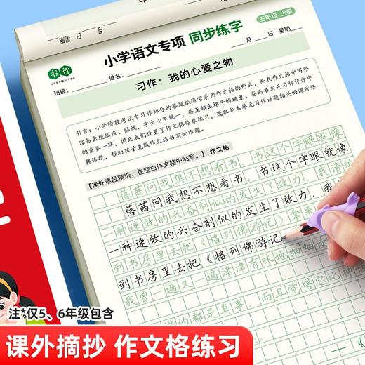 2025年新版小学生语文专项练字帖同步教材1-6年级上下册笔顺笔画规范书写同步练字视频教程 商品图3