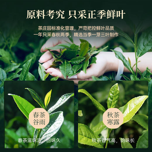 华祥苑 春茶 安溪铁观音 水即香 特级 清香型 铁观音 茶叶 160g 商品图3