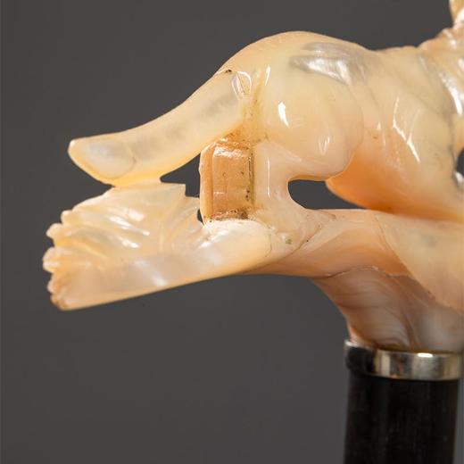 独角鹿西洋古董 法国出品纯银环箍吠犬造型母贝精雕杖柄装饰玫瑰木杖身牛角杖脚古董手杖 商品图4
