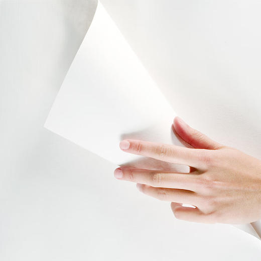 得力ZF3541标王复印纸A4-80g-5包-FN 商品图1