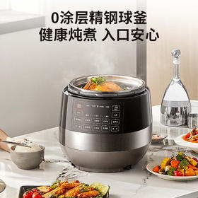 SUPOR/苏泊尔  0涂层精钢球釜电压力锅6L 双胆电饭煲电高压锅SY-60YC6011Q