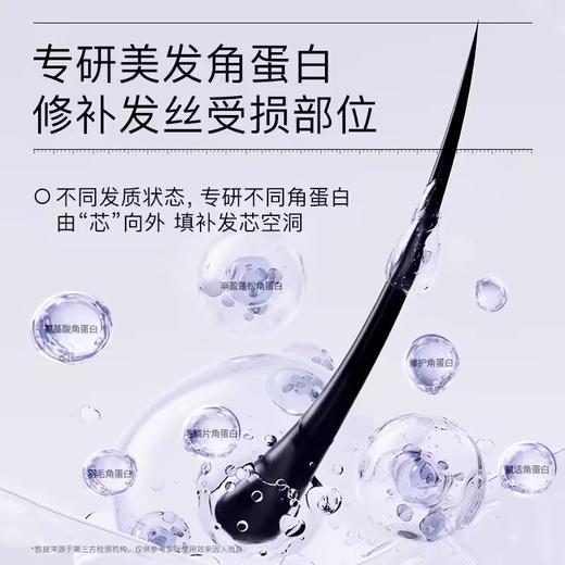 黛丝恩致美系列摩洛哥油洗发水/护发素 商品图4