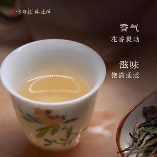 方守龙 2024年特级白牡丹75g太姥山福鼎白茶[官方旗舰店正品直供] 商品图1