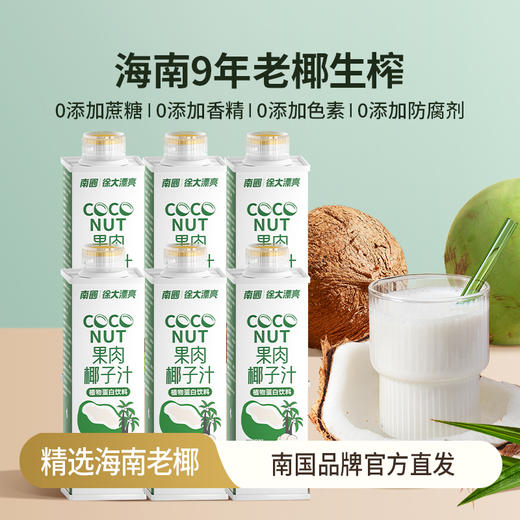 南国食品 海南特产生榨椰汁600ml*6瓶 植物蛋白饮料 大瓶瓶装 48小时发货 商品图0