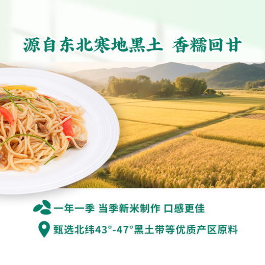 谷品新约 无麸质拉面条无小麦无蛋奶饮食品早餐0钠盐0脂肪非油炸桥本过敏宝 商品图4