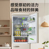 西屋冰箱BCD-290M 商品缩略图2