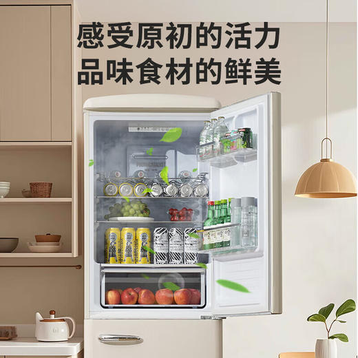 西屋冰箱BCD-290M 商品图2