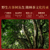 正山堂隆林红 骏眉中国特级红茶 正宗广西古树茶叶罐装送礼长辈 商品缩略图2
