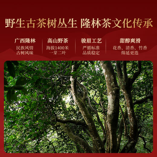 正山堂隆林红 骏眉中国特级红茶 正宗广西古树茶叶罐装送礼长辈 商品图2