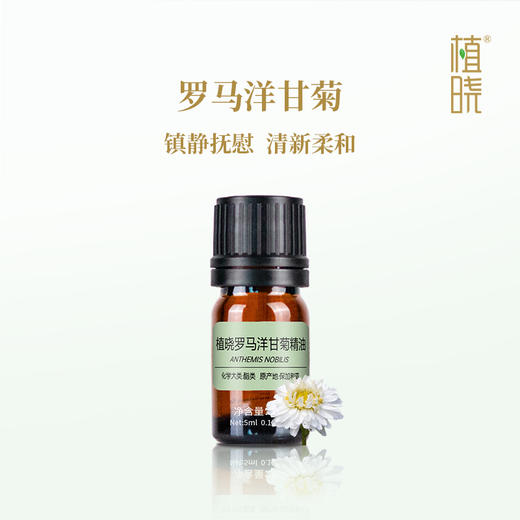 植晓 罗马洋甘菊精油 5ml 商品图0