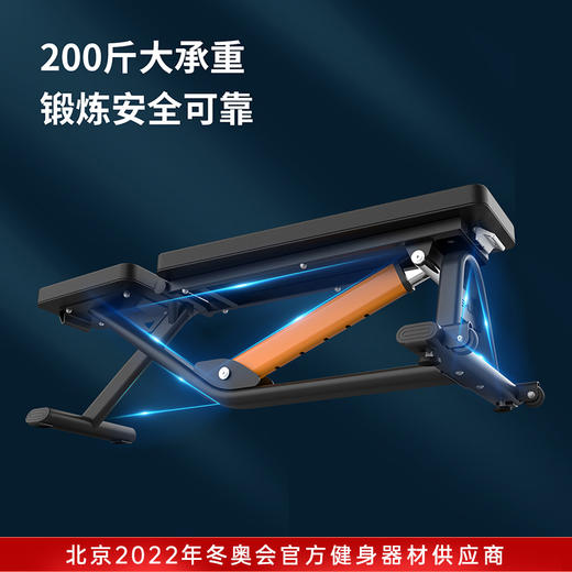 SHUA舒华哑铃凳室内男士可调节哑铃训练板多功能商用健身器材G599 商品图3