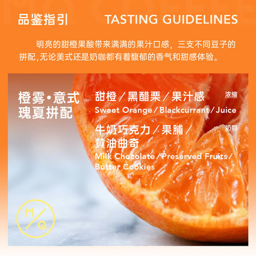 【白熊联名】明谦白熊联名瑰夏挂耳咖啡手冲美式咖啡黑咖啡过滤式 商品图2