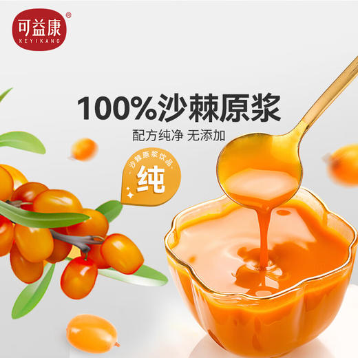 可益康沙棘原浆饮品300ml 商品图1
