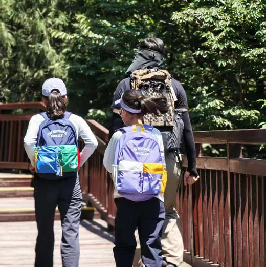 韩单北面拼色双肩背包🎒野餐垫042505 商品图0