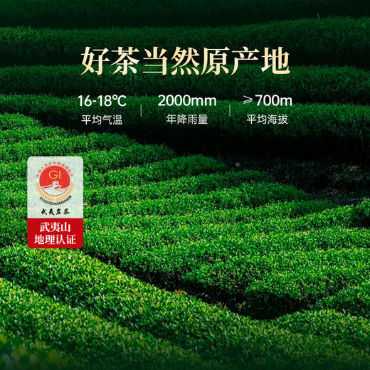 华祥苑 大红袍 星时光 特级 花香大红袍  茶叶 礼盒 商品图4