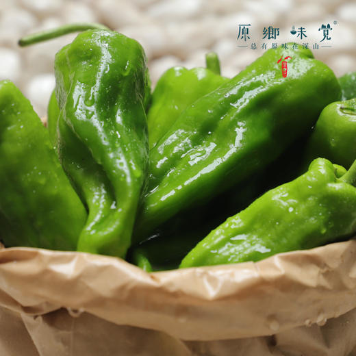 生态青椒/二荆条辣椒/牛角椒（农场直发-顺丰包邮）｜ 成都郫都区基地【原乡农场，自产自销】 商品图11