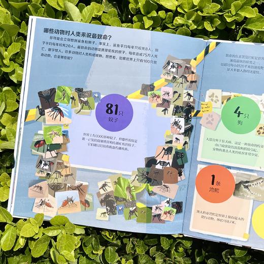 如果世界上只有 100 只动物 | 世界上的动物千千万，以有趣、简明的方式将纷繁复杂、数量庞大的动物世界呈现给孩子，也是用于数学、科学、阅读和写作的绝佳教学资源。天略童书馆出品 商品图9