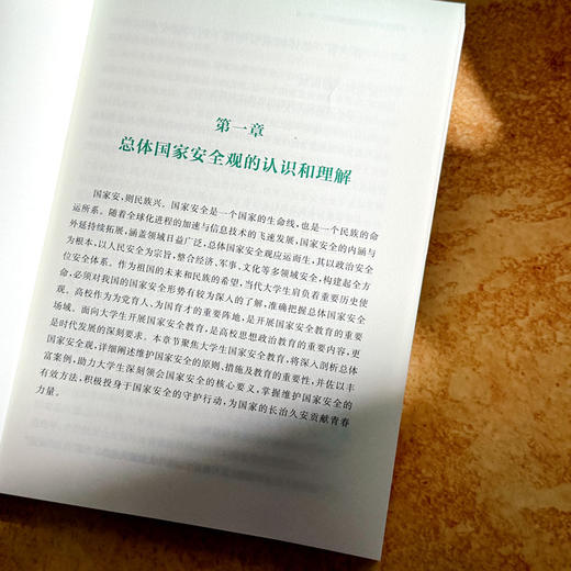 新时代大学生安全教育 公共安全 突发公共事件应急处理 大学教材 商品图8