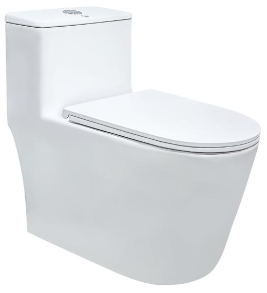 WZB20-01/02 坐便器 商品图0