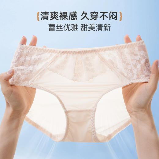 ALDOLA/雅黛俪性感蕾丝女士内裤冰丝无痕夏季薄款三角短裤25新款 商品图4