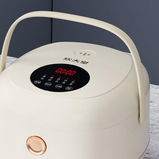 炊大皇 微电脑电饭煲 3L精巧容量 CDH-FB0531 商品图3