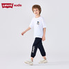 LEVIS 秋 大童小童 儿童童装T恤 LVN-TE-N195 商品缩略图3