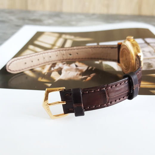 【95新】SEA-GULL海鸥情侣系列618.701L自动机械机芯31MM（女款）日期显示220525TJ07 商品图5