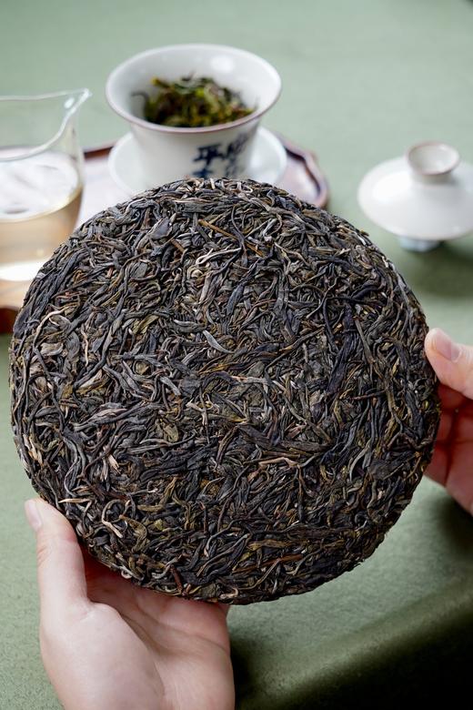 2025【曼松背阴山】皇家贡茶秘境 商品图2