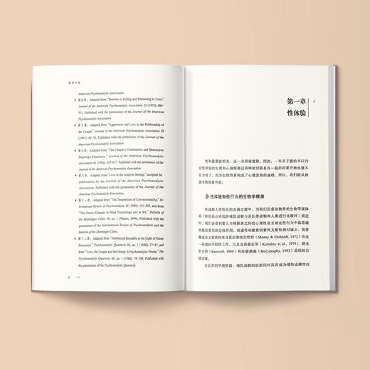 《爱情关系》（西方心理学大师经典译丛28） 商品图3