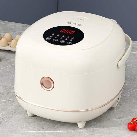 炊大皇 微电脑电饭煲 3L精巧容量 CDH-FB0531 商品图0