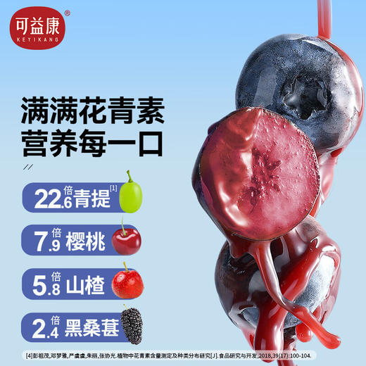 可益康蓝莓原浆饮品300ml 商品图1